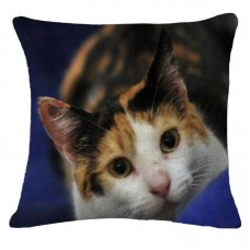 Cute Cat Pattern Throw Pillow Cases Home Decorative Cushion Cover Square 9#   283104615133